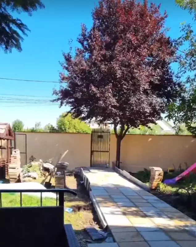 oana roman isi renoveaza gradina 2