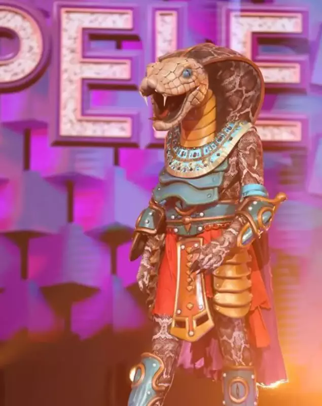 cine-este-sarpele-de-la-masked-singer-7