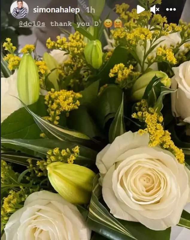 simona-halep-cadou-de-la-daren-cahill-1