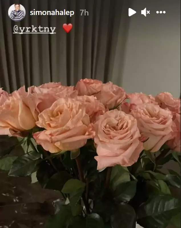 simona-halep-cadou-toni-iuruc-30-de-ani-3