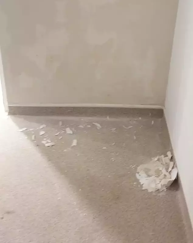 24522333544690634264845682645069293318783246n