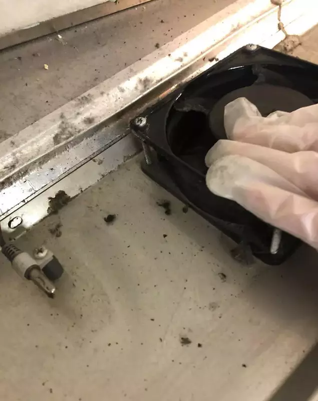 whatsapp-image-2021-11-02-at-17-32-29