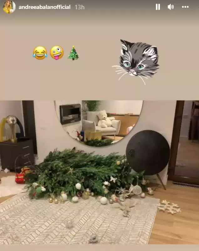 andreea-balan-brad-daramat-2