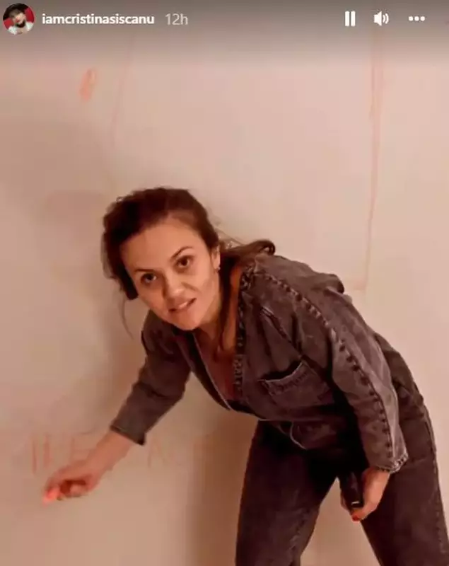 cristina-siscanu-renovari-2