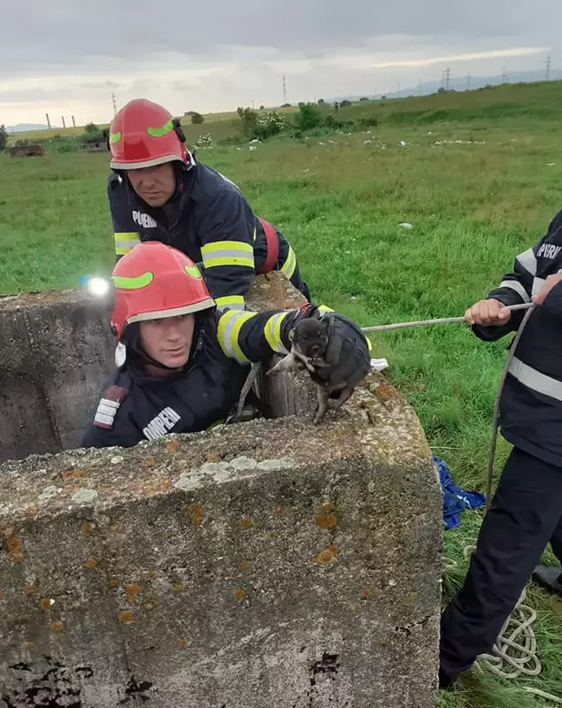 2867763223293874793688883878158097331215589n-1