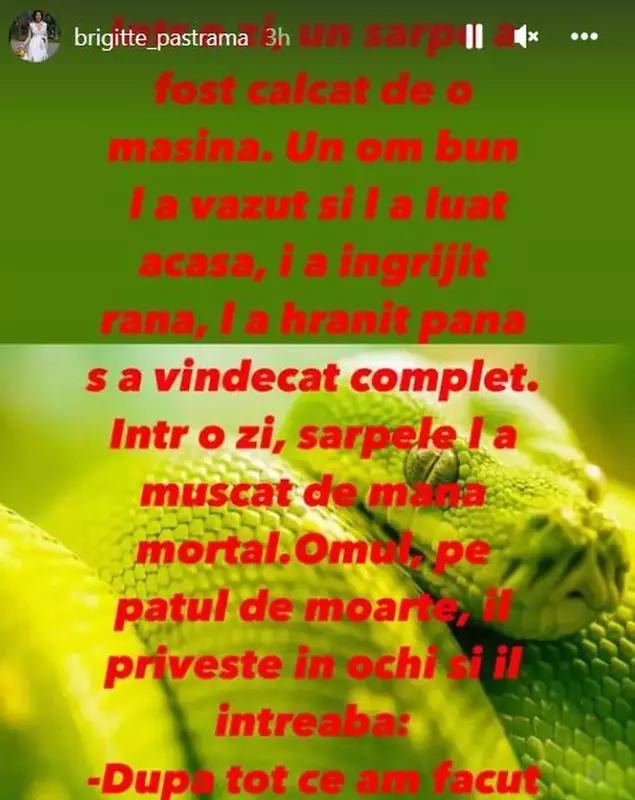 brigitte-pastrama-mesaj