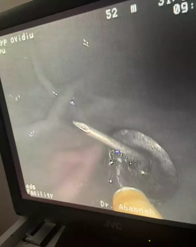 whatsapp-image-2022-06-06-at-11-11-57-1