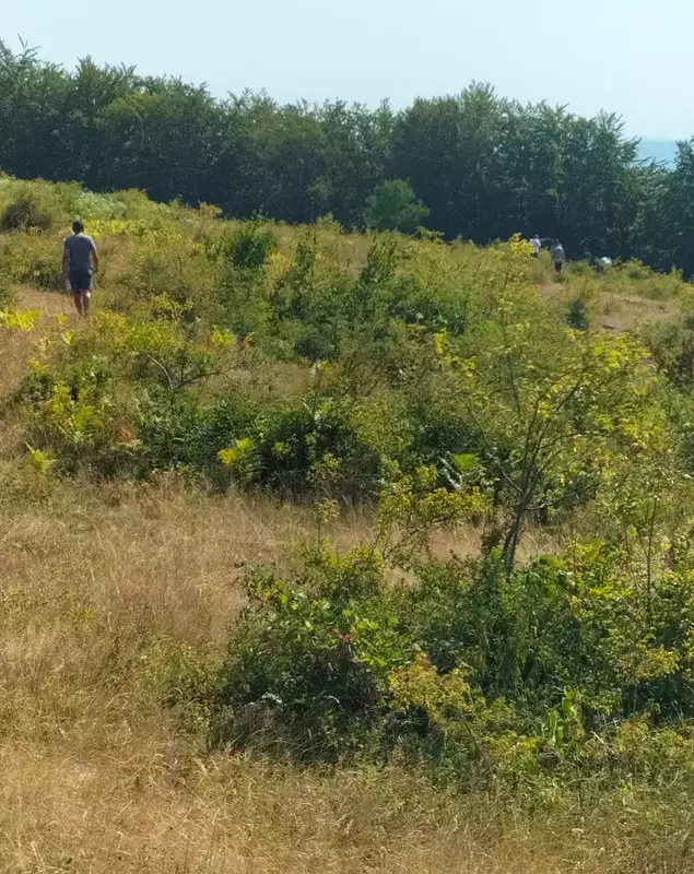 whatsapp-image-2022-07-22-at-10-54-53