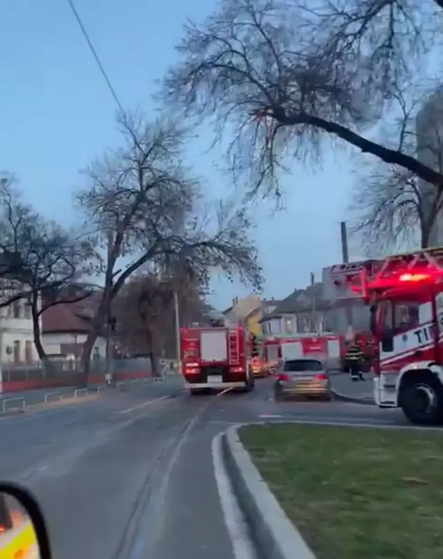 incendiu-louis-turcanu-timisoara-2