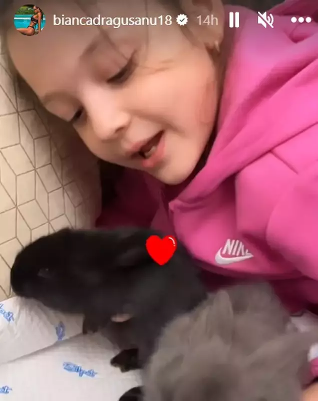 bianca-dragusanu-de-paste-3