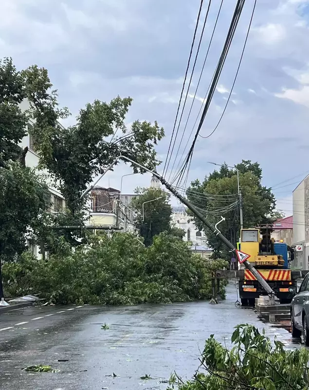 3650113986201070335889336957921354436010802n