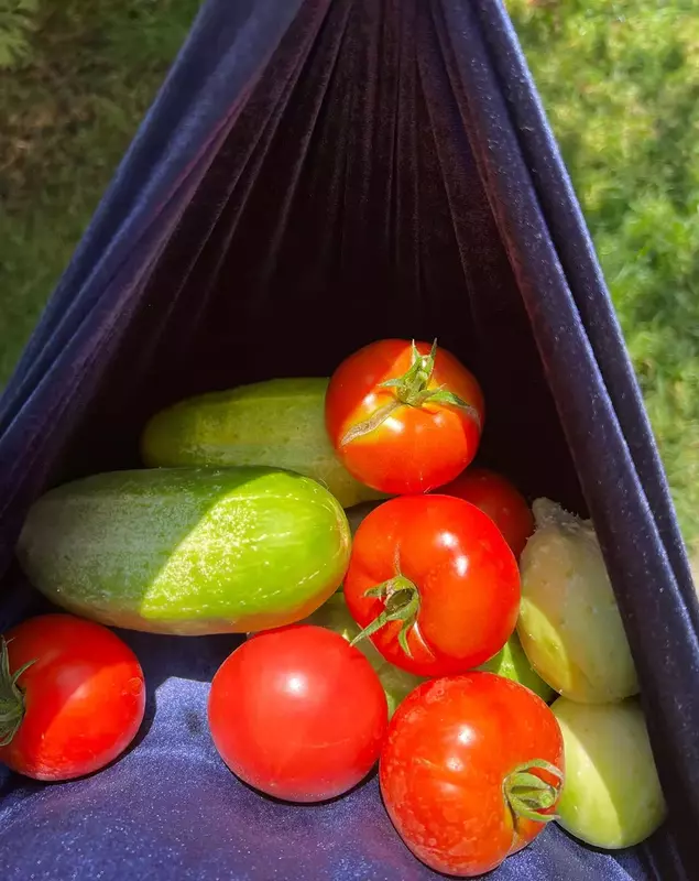 andreea-marin-cultiva-legume-in-gradina-1