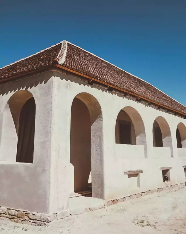 dana-rogoz-casa-viscri-12