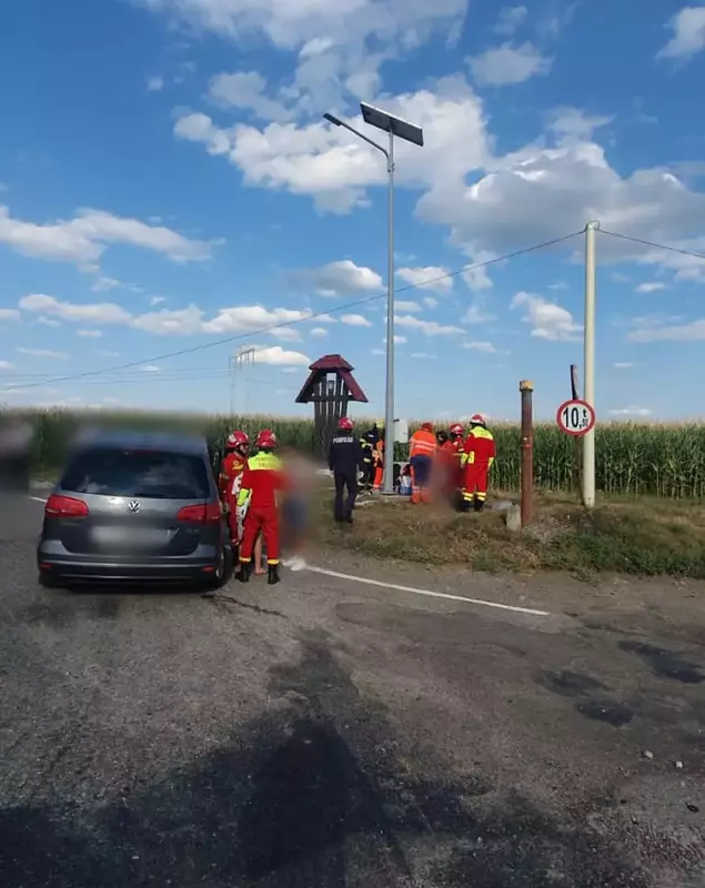 00f531ea-fb04-45a5-9f56-12bde59bd050