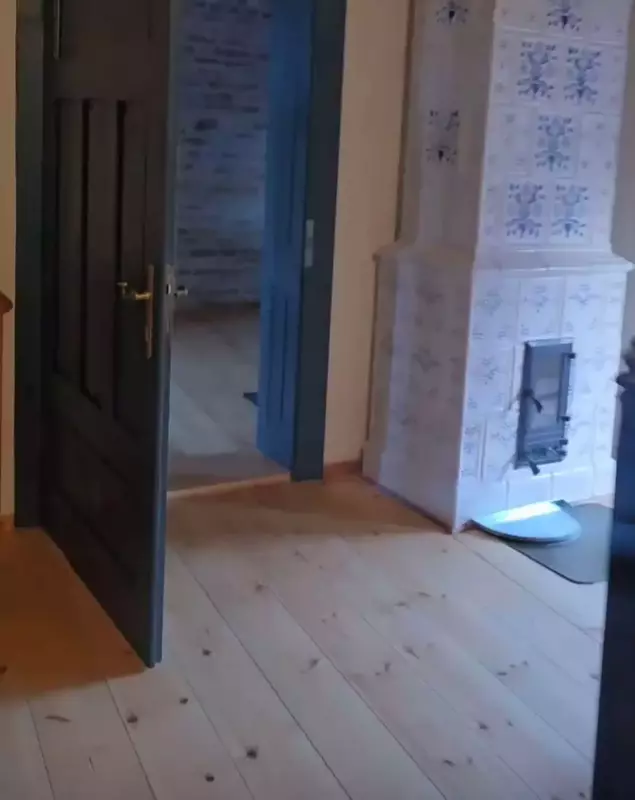 dana rogoz casa viscri 15