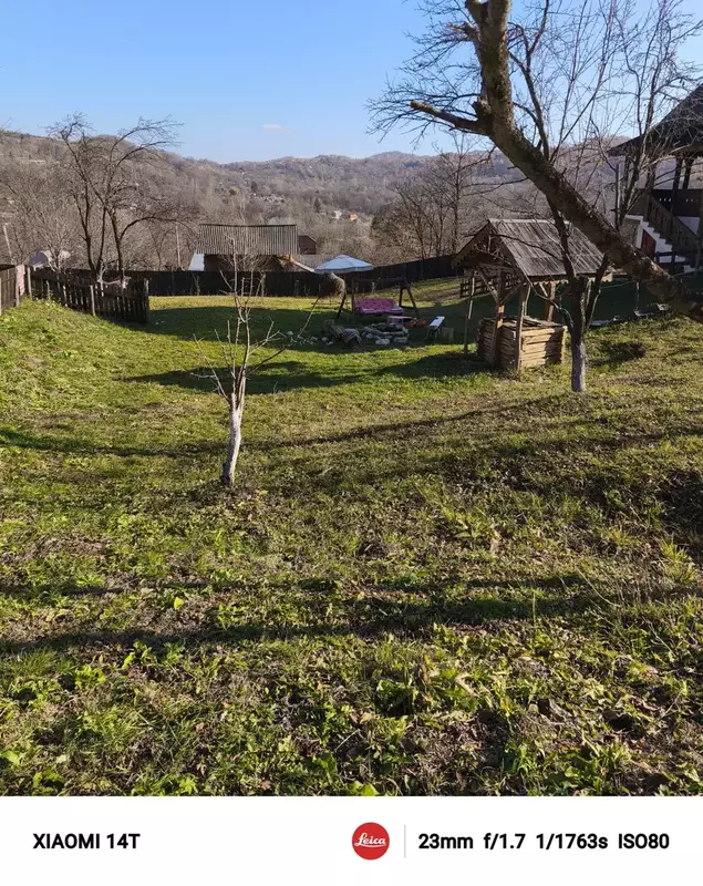 .trashed-1734365076-IMG_20241116_131635