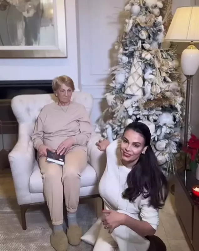 anca serea casa de craciun 1