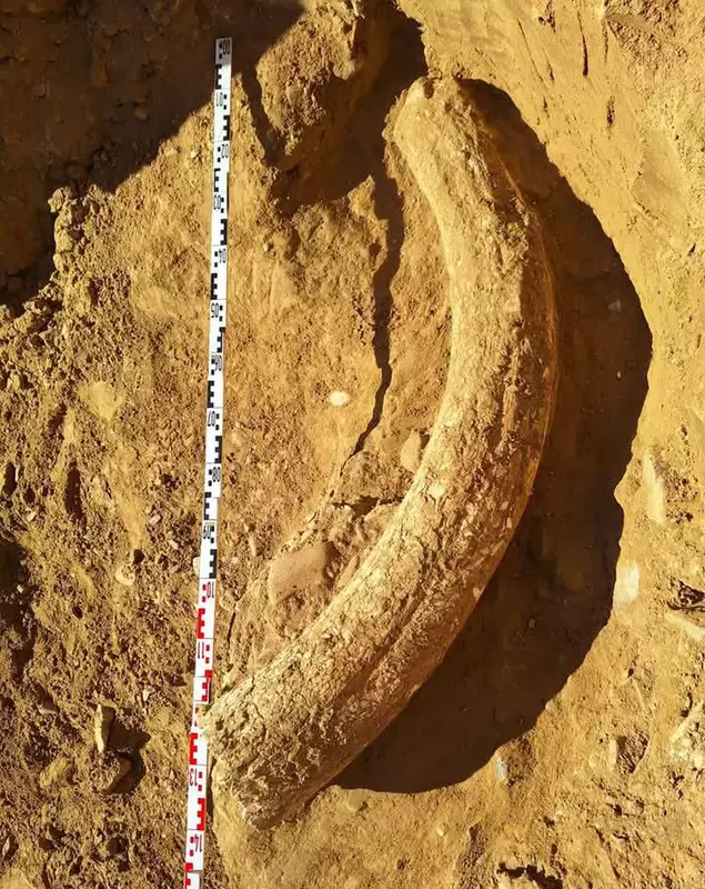 474915040_637589252137930_5006393382746348771_n