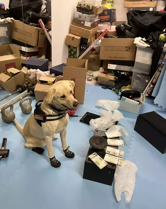 Câini Vama Austriaca – Foto Ministerul Federal al Finanțelor (1)