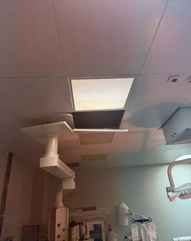 bucata-tavan-marius-nasta