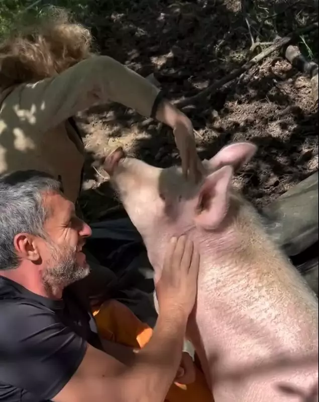 Dragoș Bucur și băiețelul Kadri cu porcul 5