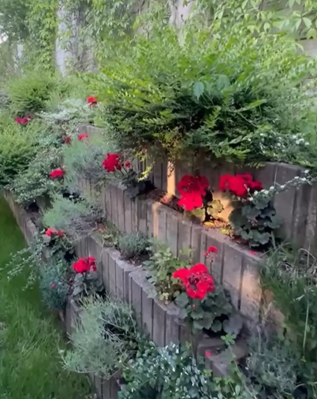 imagini din grădina Andreei Marin (10)