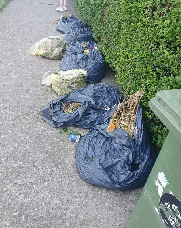 Saci cu resturi vegetale