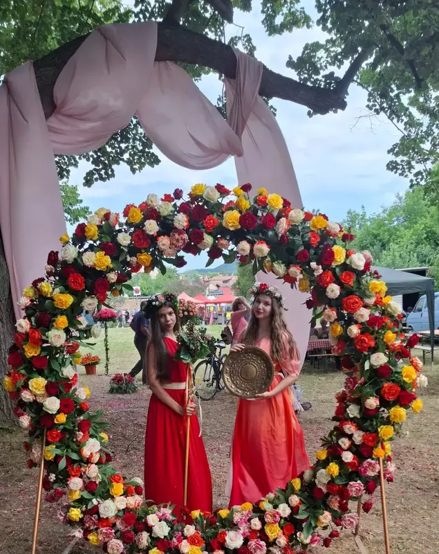 ciumbrud trandafiri8