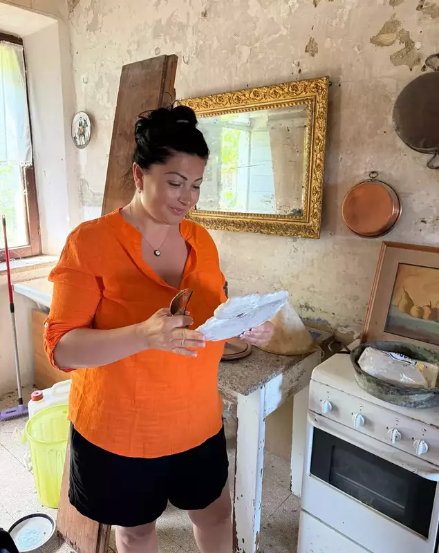 Gabriela Cristea – proiect secret (1)