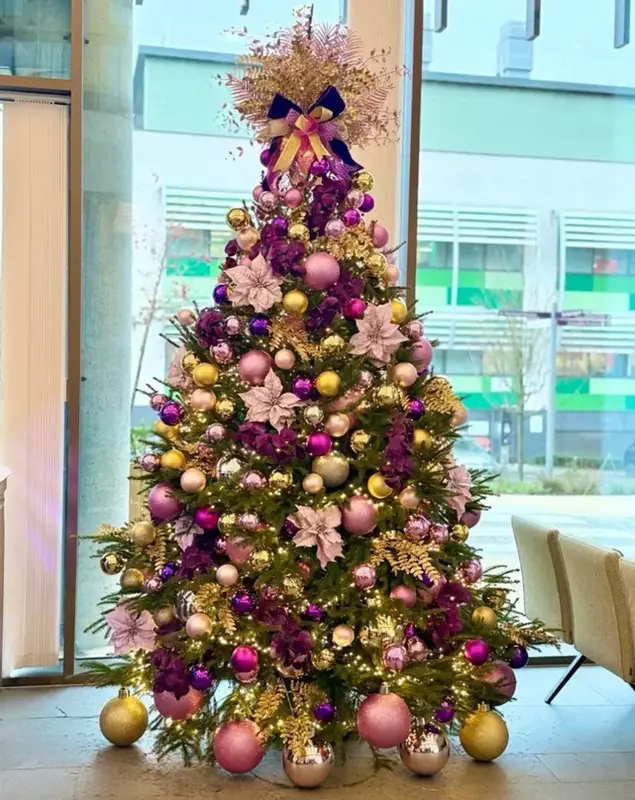 bradul donat de Kate Middleton (2)