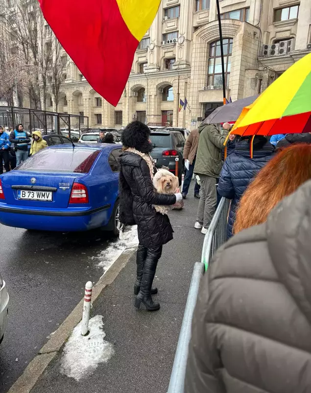 O doamna imbracată in negru, cu un cățel în brațe, așteapta pe trotuar