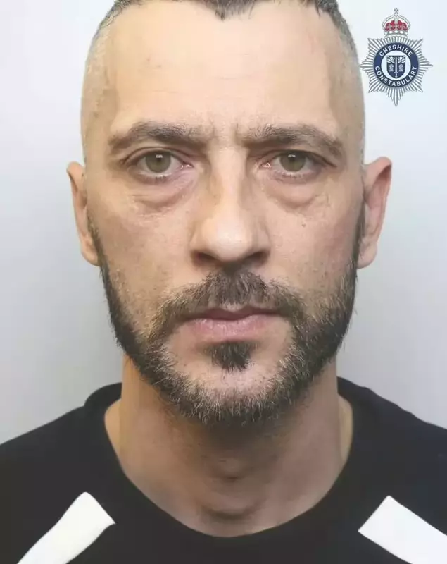 Paul Matei, 37 de ani, din Liston Close, Luton condamnat la 12 luni de închisoare