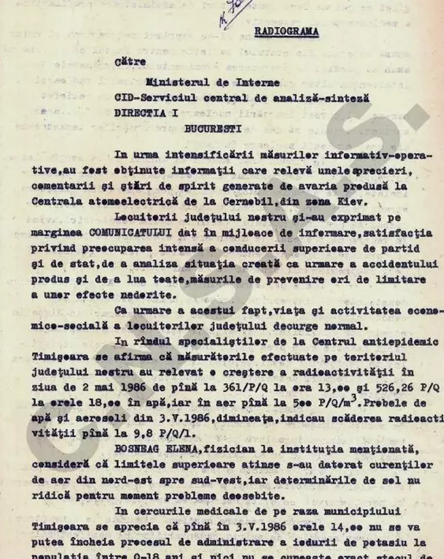 raport securitate timis1 copy