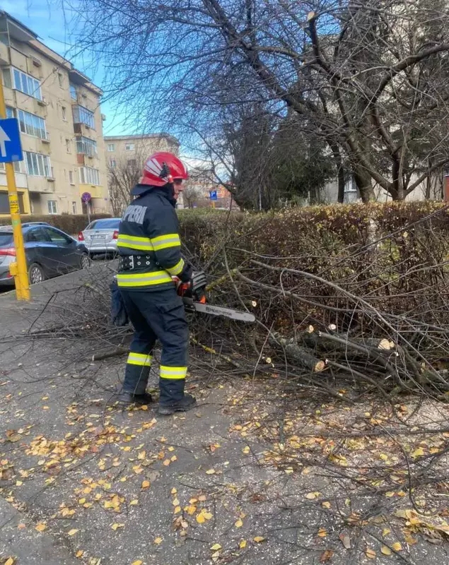 img-20231202-wa0022-768×1024-1