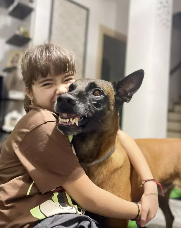 Imagini casă Livia Graur (16)