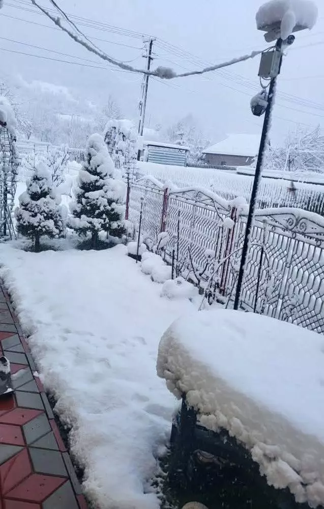 Bacău, Moinești - 6 aprilie - foto Meteo Plus