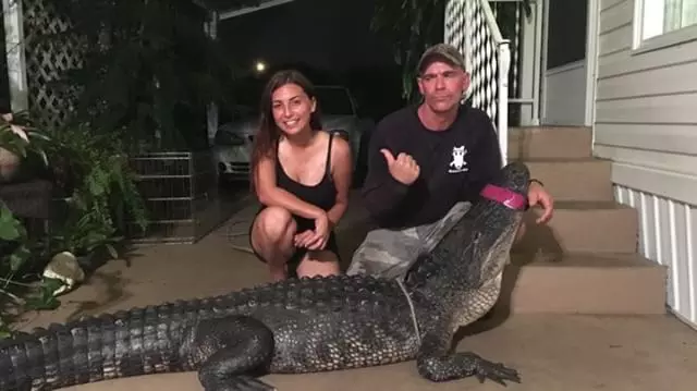 Gabby Scampone, îmblănzitoarea de aligatori din Florida