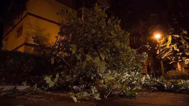 furtuna in Caras-Severin (2)