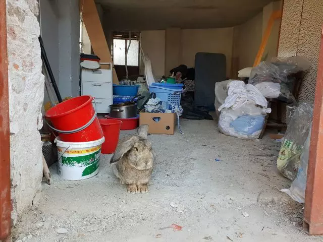 Bătrâni ținuți neîngrijiți și nespălați într-un azil privat din Timiș (1)