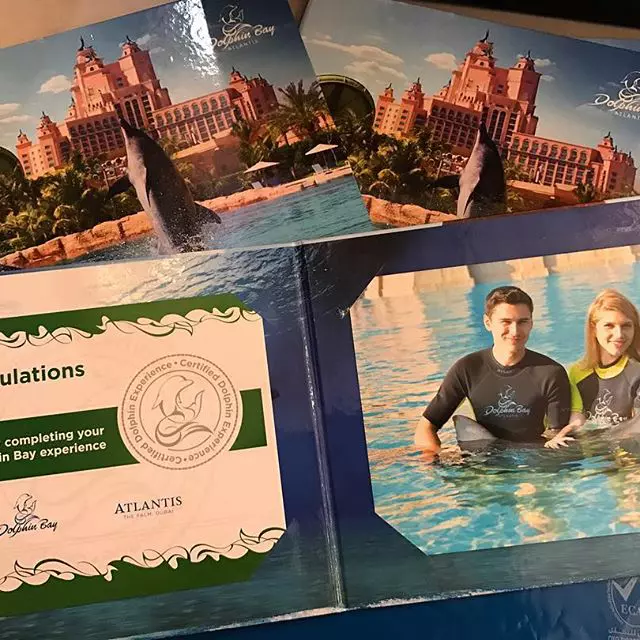 14727413_1661030674190173_1183449685470216192_n