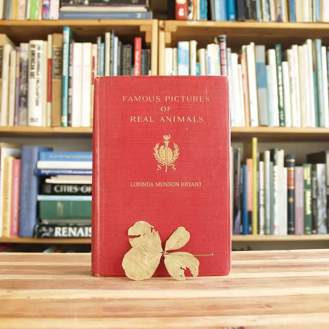 Trifoi cu patru foi semn de carte, forgottenbookmarks.com