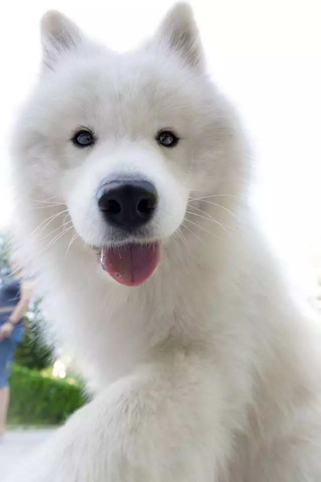 love is all we need expozitie 7