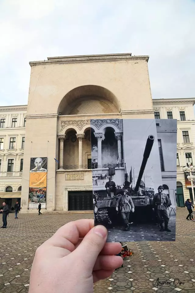 colaje timisoara_foto Dani Amariei (4)