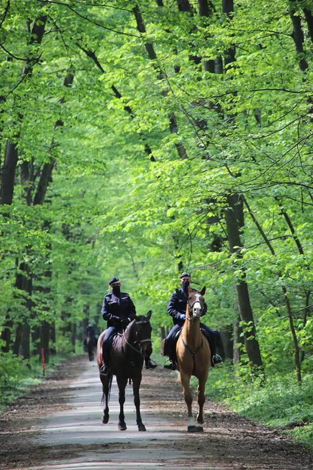 94779609_3128659923851698_406659160126521344_o