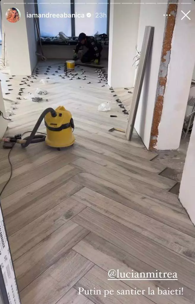 casa-andreea-banica-1