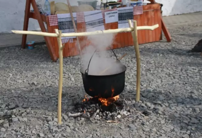 Festivalul Balmoșului (8)