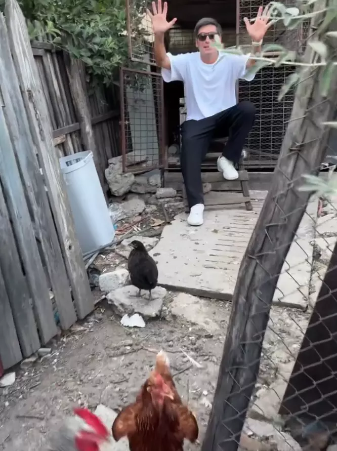 Radu Valcan in cotet 1