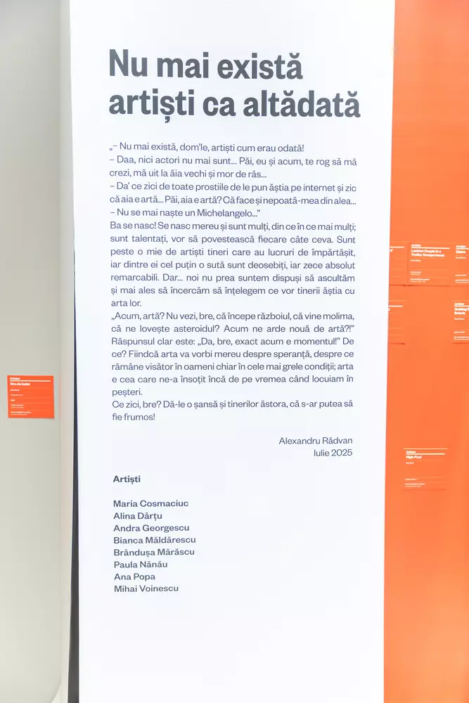 Young Blood. Noul val de artiști contemporani(6)