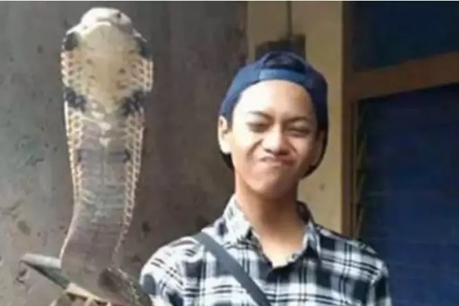 cobra1
