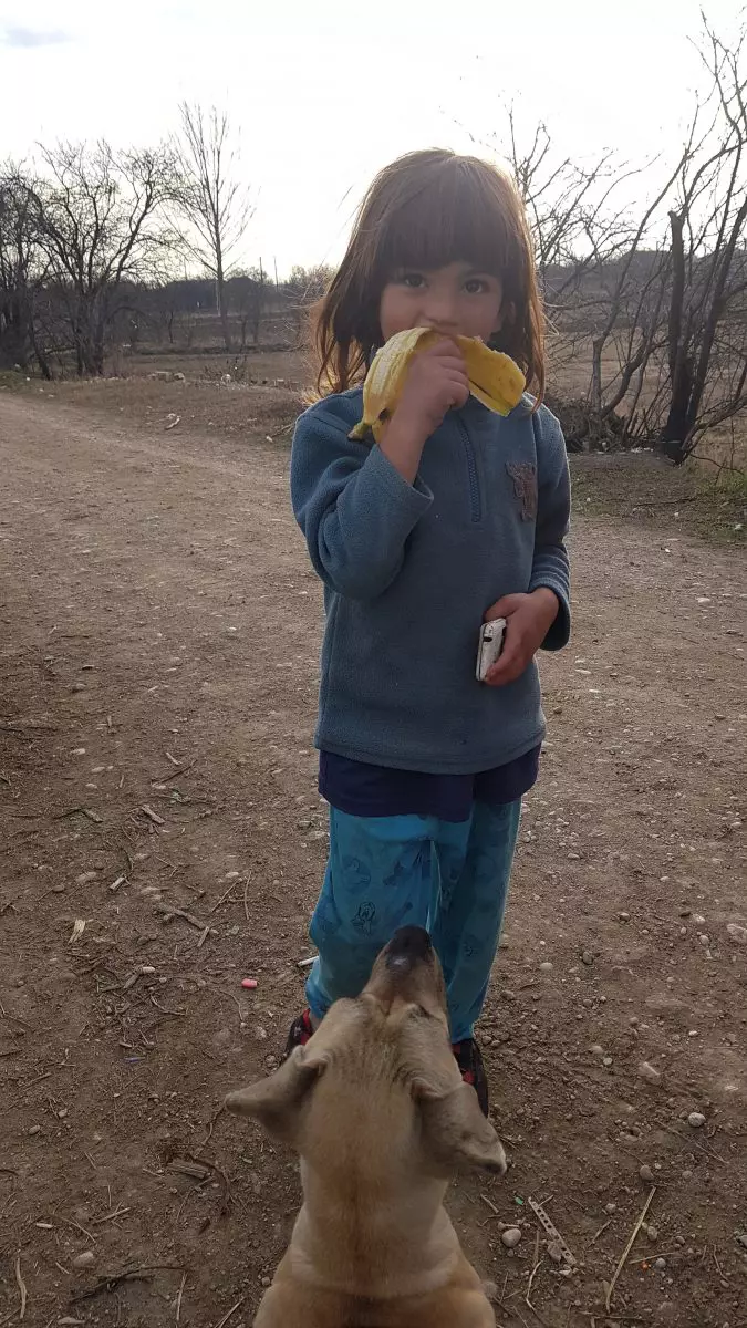 printese hambar (18)